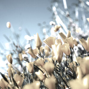 Enjoy spring